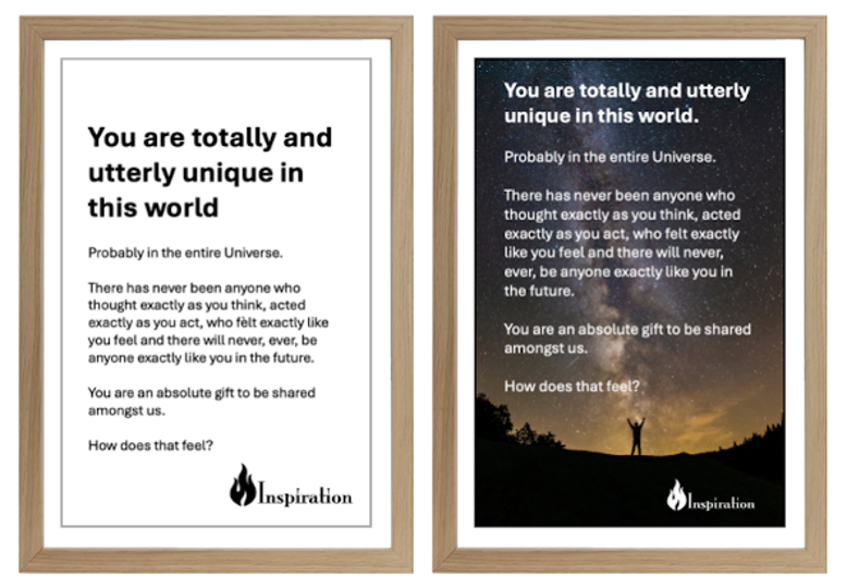 Wisdom & Perspective